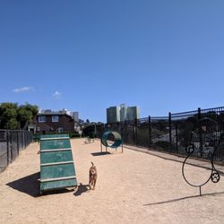 Bark Park