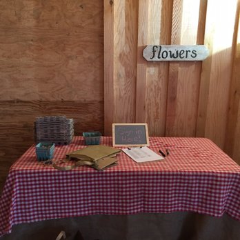 Working Hands Farm - a table with a red checkered tablecloth - CSA Near Me - Hillsboro, Oregon Working Hands Farm - a table with a red checkered tablecloth - CSA Near Me - Hillsboro, Oregon