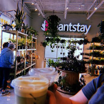 108 vine - Coffee & Tea Near Me - Gainesville, Florida