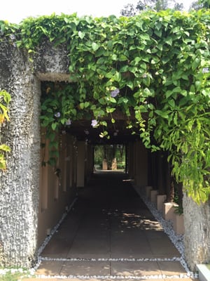 Gaya Island Resort by null