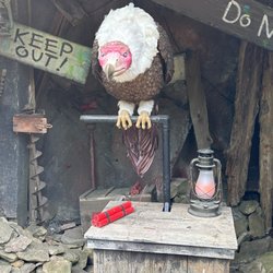 Mystery Mine - Auto animatronic eagle