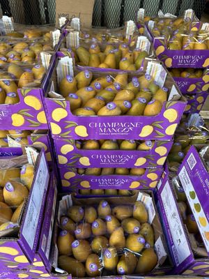 Aloha Market by null