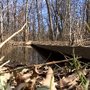Photo of Julie J Metz Neabsco Creek Wetlands Preserve