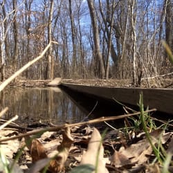 Julie J Metz Neabsco Creek Wetlands Preserve - Boards anchored just above the water.