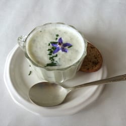 Cucumber Gazpacho