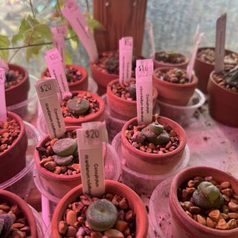 The Plant Sitter - Nurseries & Gardening Near Me - San Jose, California The Plant Sitter - Nurseries & Gardening Near Me - San Jose, California