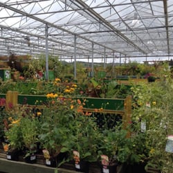 Sandyholm Garden Centre - Where to start?