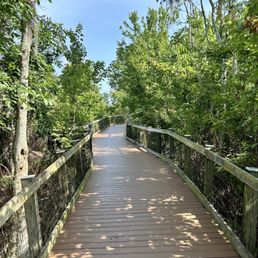 Half mile of boardwalk Half mile of boardwalk
