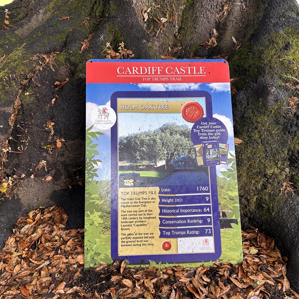 Cardiff Castle - Castles Near Me - Cardiff, CRF