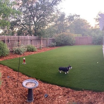 Artificial Turf By Fenix - 2 After - Lawn looks and feels amazing. - Artificial Turf Near Me - Rocklin, California