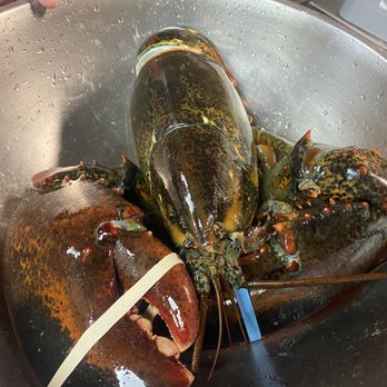 Kosan - Fresh Lobster! - Chinese Near Me - San Juan, Puerto Rico