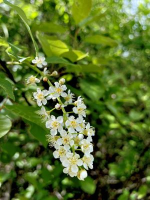 Bird Hills Nature Area by null
