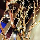 Photo of Bar Basic - San Francisco, CA, United States. Inside