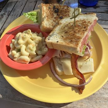 The Wild Iris Café - Iris club with macaroni salad - Cafes Near Me - Dunedin, Florida The Wild Iris Café - Iris club with macaroni salad - Cafes Near Me - Dunedin, Florida