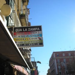 Qua la zampa