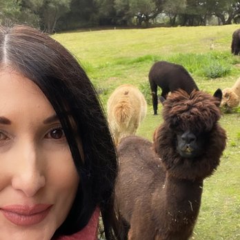 Canzelle Alpacas - Farms Near Me - Carpinteria, California Canzelle Alpacas - Farms Near Me - Carpinteria, California