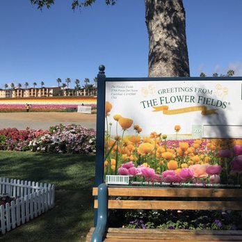 The Flower Fields - Venues & Event Spaces Near Me - Carlsbad, California The Flower Fields - Venues & Event Spaces Near Me - Carlsbad, California