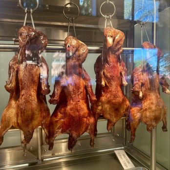 Journey to the Dumpling - Midtown - Roasted ducks - Chinese Near Me - Sacramento, California Journey to the Dumpling - Midtown - Roasted ducks - Chinese Near Me - Sacramento, California