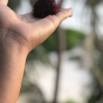 Hotel Nueva Vida de Ramiro - Hotels Near Me - Tulum, ROO