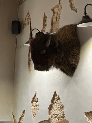 Pioneer Tap House by null