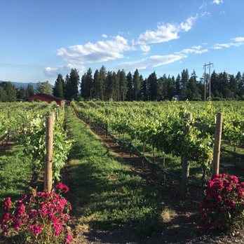 Marchesi Vineyards - Stunning views - Wineries Near Me - Hood River, Oregon