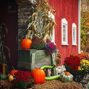 White Mountain Cider - Fall outside - New American Near Me - Glen, New Hampshire White Mountain Cider - Fall outside - New American Near Me - Glen, New Hampshire