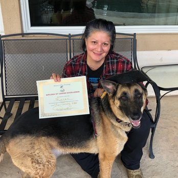 Donna's Dog Training - Good student! - Pet Training Near Me Donna's Dog Training - Good student! - Pet Training Near Me
