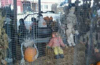 Wilklow Orchards by null