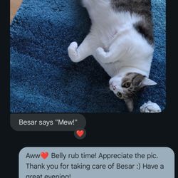 Greenman Pet Services - It was super assuring to receive check-ins like this while I was away. Thanks Ailsa and Steve from Greenman!