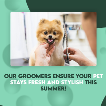 The Pet Mobile Spa - Pet Groomers Near Me The Pet Mobile Spa - Pet Groomers Near Me