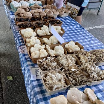 Baltimore Farmers' Market & Bazaar - So many mushrooms! - Farmers Market Near Me Baltimore Farmers' Market & Bazaar - So many mushrooms! - Farmers Market Near Me