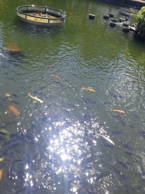 Taipei Confucius Temple by null