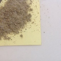The Spice Connection - A little goes a long way when it is quality ingredients