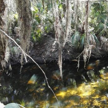 Alderman's Ford Park - Parks Near Me - Lithia, Florida