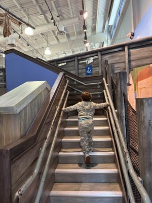 Children's Museum of the East End by null