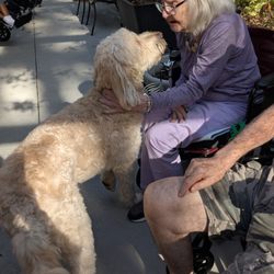 Ocala Oaks Rehabilitation Center