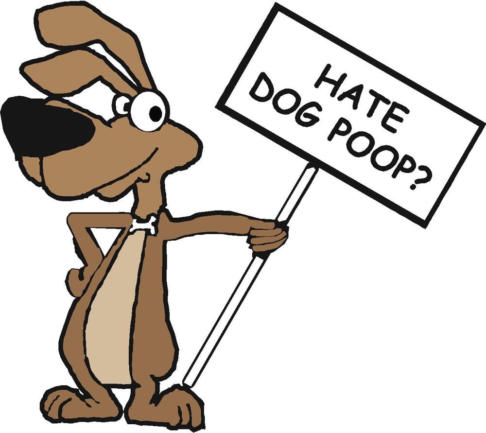 OOPSIE POOPSY POOPER SCOOPER SERVICES CLOSED Updated April 2024