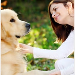 Sleepover Rover, Inc. - Your dog will come home HAPPY from a stay with a certified Sleepover Rover host!