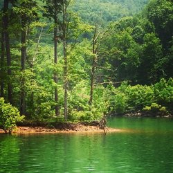 Watauga Point Recreation Area - Watauga Point Recreation Area