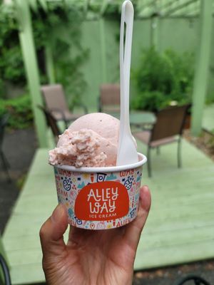 Alleyway Ice Cream by null