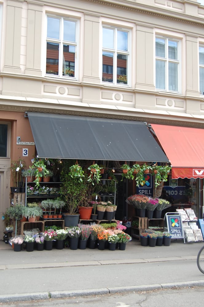 BLOMSTERHANDLER ANDERSEN Updated May 2024 Olav Ryes plass 3, Oslo