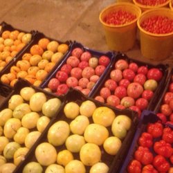 Cecarelli Farms