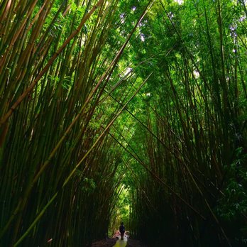 Pipiwai Trail - Hiking Near Me - Hana,, Hawaii