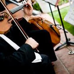 The Mozart Academy of Music - We offer string solos duos trios or quartets for your special occasion!