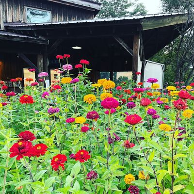 Indian Creek Farm by null