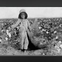Fastrip Food Stores - Real cotton picker