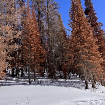 Grand Adventures - Tours Near Me - Winter Park, Colorado Grand Adventures - Tours Near Me - Winter Park, Colorado