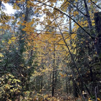 Peavy Arboretum - Hiking Near Me - Corvallis, Oregon Peavy Arboretum - Hiking Near Me - Corvallis, Oregon