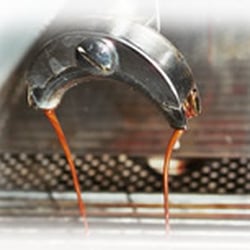 Dresdner Kaffee und Kakao Rösterei