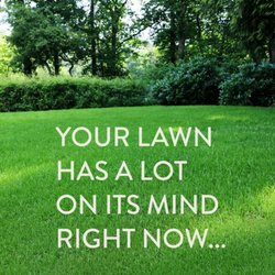 JC LANDSCAPING
